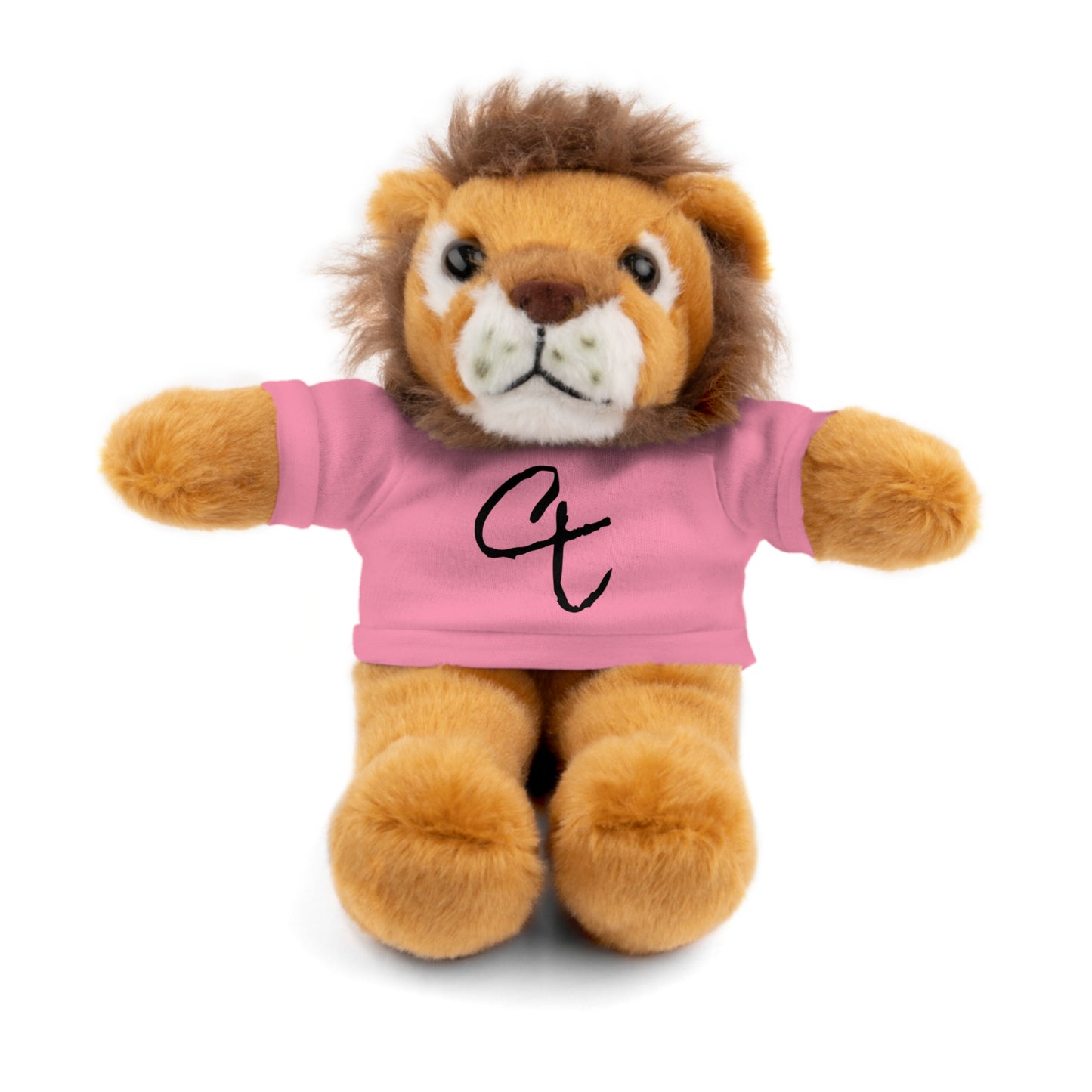 Stuffed Animals with "City Threads" tee